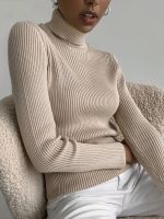 【CW】 Heliar Turtleneck Sweater Knitted Soft Pullovers Cashmere Jumpers Sweaters 2021