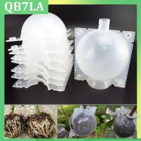 8cm Plant Rooting Grow Box Breeding Case 5pcs High Pressure Gardening Plant Root Device Ball for Garden Grafting QB7LA Shop