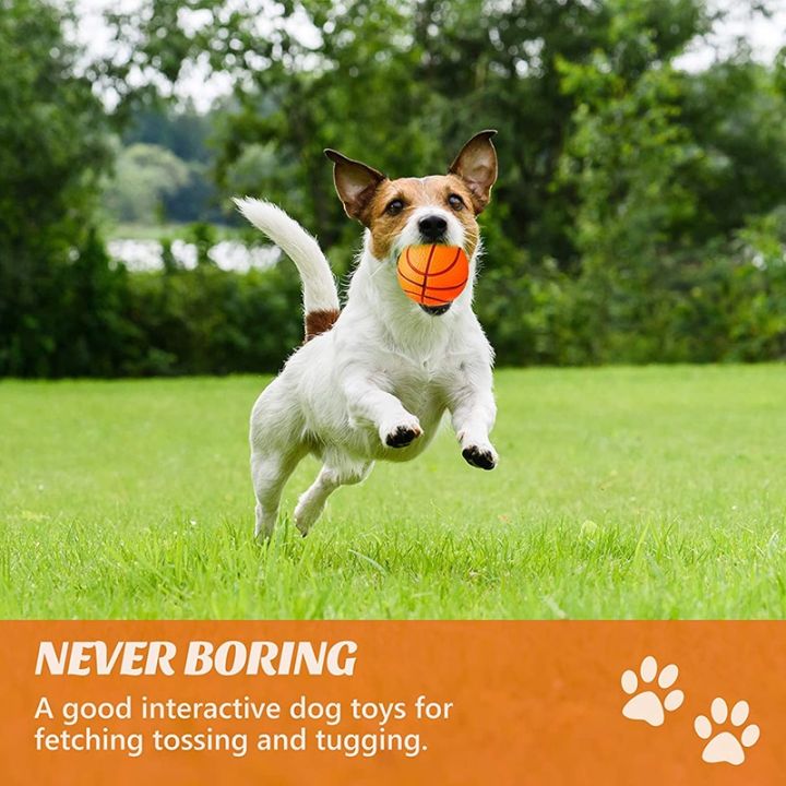 benepaw-ลูกบอลสุนัข-eva-ปลอดภัยทนทานเด้งดึ๋งบาสเก็ตบอลเคี้ยวของเล่นสัตว์เลี้ยงสำหรับฝึกสุนัขขนาดเล็กและขนาดกลางลูกสุนัขเกม-yy-แบบโต้ตอบร้านค้า