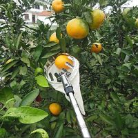 Metal Fruit Picker Head Orchard Apple Pears High Altitude Picking Tool Fruit Catcher Pouch Detachable Portable Farm Garden Tools