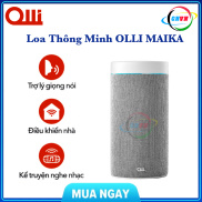 PHÂN PHỐI CHÍNH THỨCLoa thông minh màu xám OLLI MAIKA-Công Nghệ Việt Nam