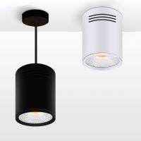 ZZOOI High Bright  Ceiling Light 3W 5W 7W 10W 12W 15W Wire Hanging Surface Mount Ceiling Spot Light for Bar Kitchen