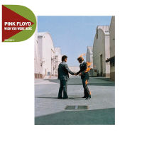 CD Pink Floyd – Wish You Were Here ***made in eu มือ1