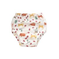 Baby Kids Diapers Reusable Nappies Cloth Diaper Nappy Washable Toddler Girl Boys Baby Waterproof Cotton Potty Training Pants 1Pc