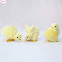 ตุ๊กตาไก่กำมะหยี่สัมผัสของเล่นตุ๊กตานุ่มๆชุด Simulation Chicken น่ารักสำหรับคริสต์มาสวันเกิดปีใหม่