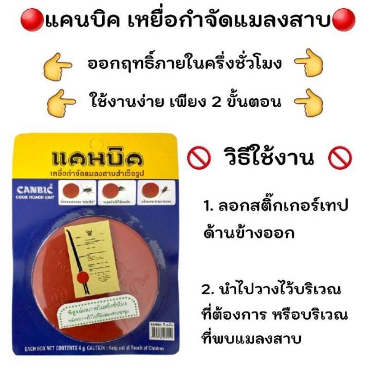 ไล่แมลงสาป-ผลิตภัณฑ์-ดัก-จับ-ฆ่า-กำจัดแมลงสาป-เหยื่อล่อแมลงสาป-ไล่แมลงสาบ-เหยื่อฆ่าแมลงสาบ-กับดักแมลงสาป-เหยื่อกำจัดแมลงสา