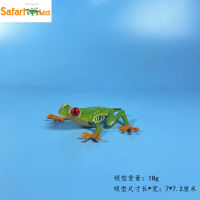 ? Big Player Series~ Authentic American Safari Simulation Childrens Cognitive Amphibian Red Eye Tree Frog Magnetic Stickers Refridgerator Magnets 1994