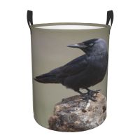 ▫﹉ Dirty Basket Crow Folding Clothing Storage Organizer