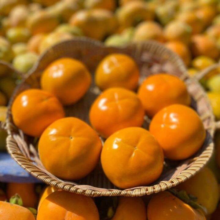 พลับเกาหลี1kg-ลูกใหญ่xxl-korean-persimmon