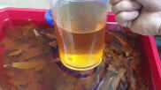 NƯỚC LÁ BÀNG KHÔ CHAI 2L