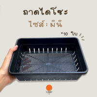 ถาดเพาะชำจิ๋ว - ถาดไดโซะมินิ 10 ใบ