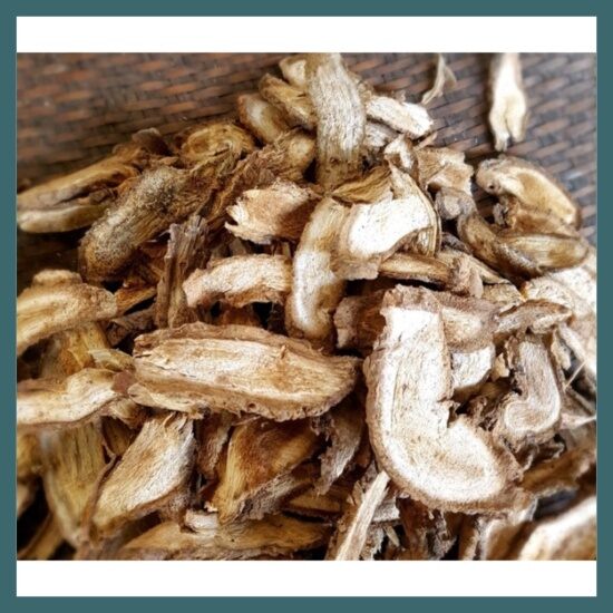 Hà thủ ô trắng có đặc điểm gì?