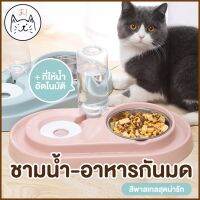 bonanzashop KUMA ま ชามน้ำอาหารกันมด ชามอาหารสัตว์เลี้ยง กันมดรอบด้าน พร้อมที่ให้น้ำอัตโนมัติ ชามสแตนเลส ชามข้าวสุนัข ชามแมว ชามกันมด Gift For You เพื่อคนสำหรับเช่นคุณโดยเฉพาะ