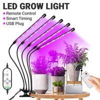 Led Grow Light USB Phytolamp 5 Heads Full Spectrum Indoor Cultivation Horticultural Lamp Greenhouse Red Light Therapy Phyto Lamp Food Storage  Dispens