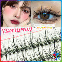 AIK ขนตาปลอม ขนตาปลอมแต่งหน้ามืออาชีพ 120 ช่อ ช่อคนตาเทรนสาวเวียดนาม  Little devil false eyelashes