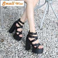 Small Wow New Arrival June 2021 Women Open Toe PU Trend Fashion Platform Heeled Sandals Street Snap Square Heel Zip