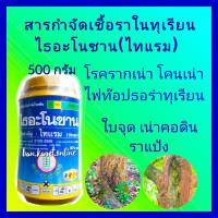 ไธอะโนซาน ไทแรม  500g ยาทุเรียน กำจัดเชื้อราทุเรียน รากเน่าโคนเน่า ไฟท๊อปธอร่า โรคเน่าคอดิน โรคราสนิม โรคเน่าดำ โรคใบจุด ราแป้งทุเรียน