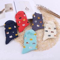 Lovely Cute Cat Socks Animal Cartoon Soft Cotton Women Socks