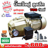 ล้างสต๊อก ปั้มน้ำดูดลึก ดูดบ่อบาดาล เจ็ทคู่ 1 แรงม้า 750 วัตต์ - รับประกัน 6 เดือน มีบริการเก็บเงินปลายทาง