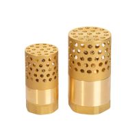 DN25/32/40/50/65/80 1 1-1/4 1-1/2 2 3 BSP Female Brass Check Valve Non-return Strainer Filter For Water Plumbing Pump