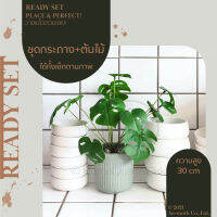 Homequarterbkk-ทิปปาป้า ชุดกระถาง+ต้นไม้ พร้อมวางโชว์ สีเขียวอมเทา | Tippapa Set - Mint Green Pot กระถาง เซรามิก สำหรับจัดต้นไม้ ตกแต่งร้าน บ้าน คาเฟ่