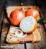 100 เมล็ด เมล็ดหอม่ สายพันธุ์ หอมใหญ่ Efekt  อัตราการงอก 70-80% Onion seeds