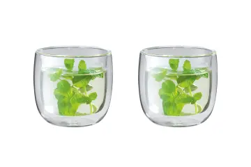 Tea Cup Double Wall Glass Sorrento 8.1oz Set of 2 - New Kitchen Store