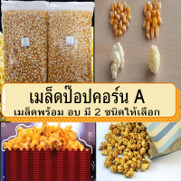 เมล็ดข้าวโพด เมล็ดป๊อปคอร์น มี 2 พันธุ์ ให้เลือก เม็ดข้าวโพดป๊อปคอร์น เมล็ดข้าวโพด เมล็ดข้าวโพดป๊อปคอร์น ผงเขย่า popcorn ป๊อปคอร์น