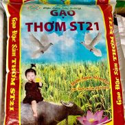 GẠO THƠM LONG LÀI ST21 - ĐẶC SẢN SÓC TRĂNG  Túi 10kg