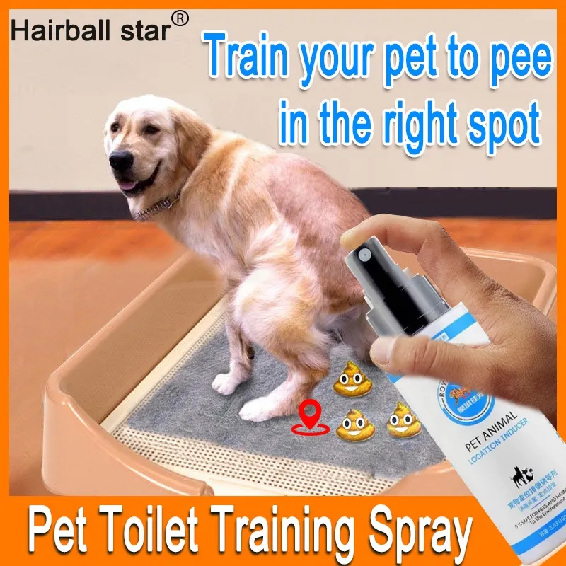 how to train dog to pee in designated area