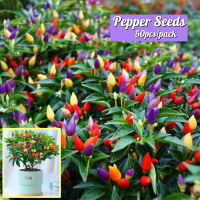 รับประกันสายพันธุ์แท้ 100 % ปลูกง่าย Mixed Species Pepper Seeds พริกประดับ คละสี (50PCS) Bonsai Vegetable Plant Seed เมล็ดผักต่างๆ เมล็ดพันธุ์ผัก พันธุ์ผัก ต้นไม้ฟอกอากาศ กรีนโอ๊ค สลัดมิกซ์ การันตีอัตรางอก ออกผลทั้งปี โตไว เมล็ดดอกไม้ เมล็ดบอนสี บอนสี