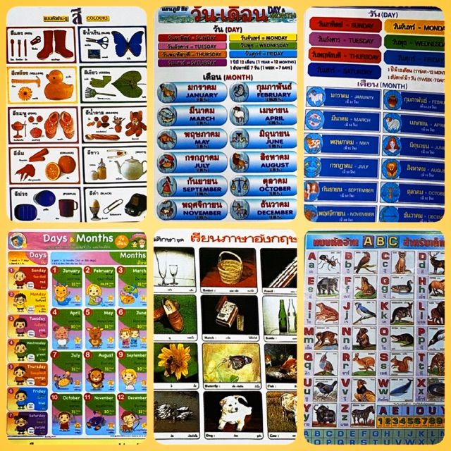 โปสเตอร์ เรียนศัพท์ภาษาอังกฤษด้วยภาพ เรื่องสัตว์ สี วันและเดือน  สำหรับการเรียนรู้ของเด็ก | Lazada.Co.Th