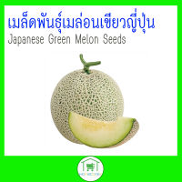 เมล็ดพันธุ์เมล่อนเขียวญี่ปุ่น Japanese Green Melon Seeds