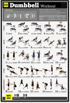 13 NewMe Fitness Products ideas  workout posters, fitness body, at home  workouts