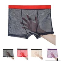 【CW】 Men Seamless Pants Mens Ultra-thin Transparent Boxershorts Mesh Printed Panties