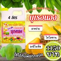 พร้อมส่ง? บุเรงนอง ขนาด 4 ลิตร อะมิโนพืช+สาหร่าย+ไคโตซาน+น้ำตาลทางด่วน อาหารพืช ใช้ฉีดพ่นทางใบ ฉีดพ่น มะม่วง