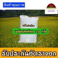 ช่วงโปร เมล็ดพันธุ์ปอเทือง ราคายกกระสอบ 20 กก.คุณภาพดีผ่านการแยกกากออกแล้ว ของถูก ต้นไม้ เมล็ดพืช พรรณไม้  พรรณพืช