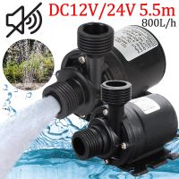 เครื่องปั๊มน้ำมอเตอร์กันน้ำไร้แปรงถ่าน DC 12V/24V 800L/H แบบพกพาสำหรับใช้ในสวนความเย็นน้ำพุ5.5ม.