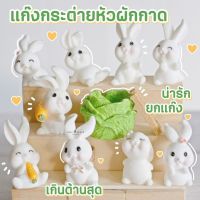 MS5351 Rabbit Doll ตุ๊กตาจิ๋วกระต่ายแครอทหลายแบบ ตุ๊กตากระต่ายจัดสวน