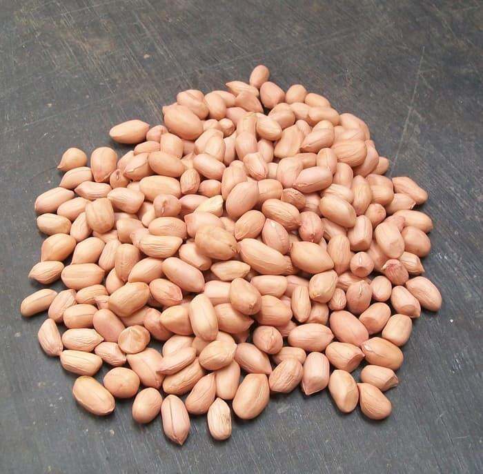 Kacang Tanah Siap Kupas Mentah 500 Gram Kacang Bagus Lazada Indonesia