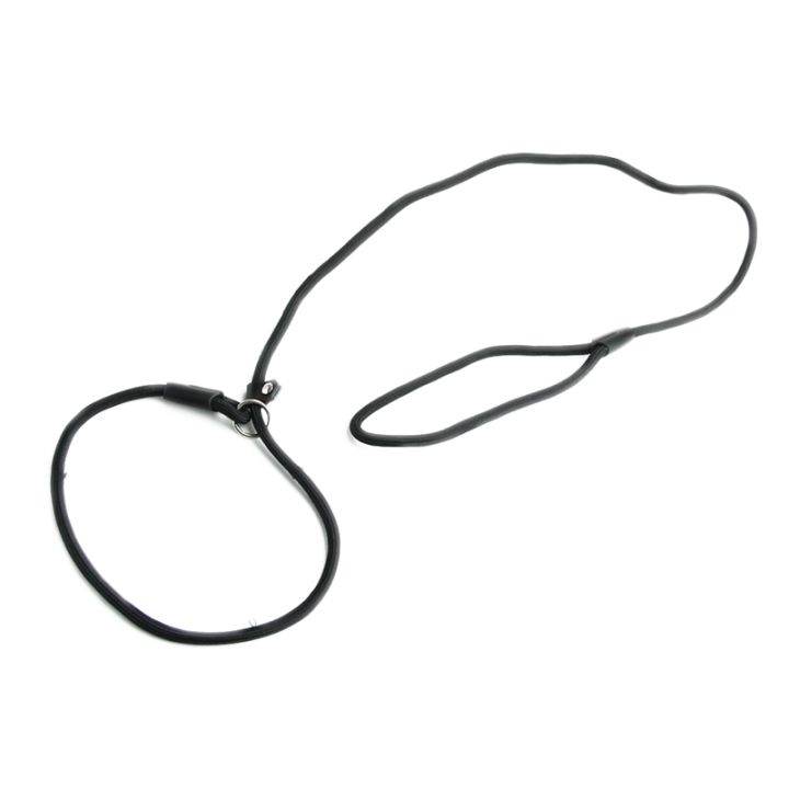 nylon-rope-dog-whisperer-style-slip-train-leash-lead-collar-black
