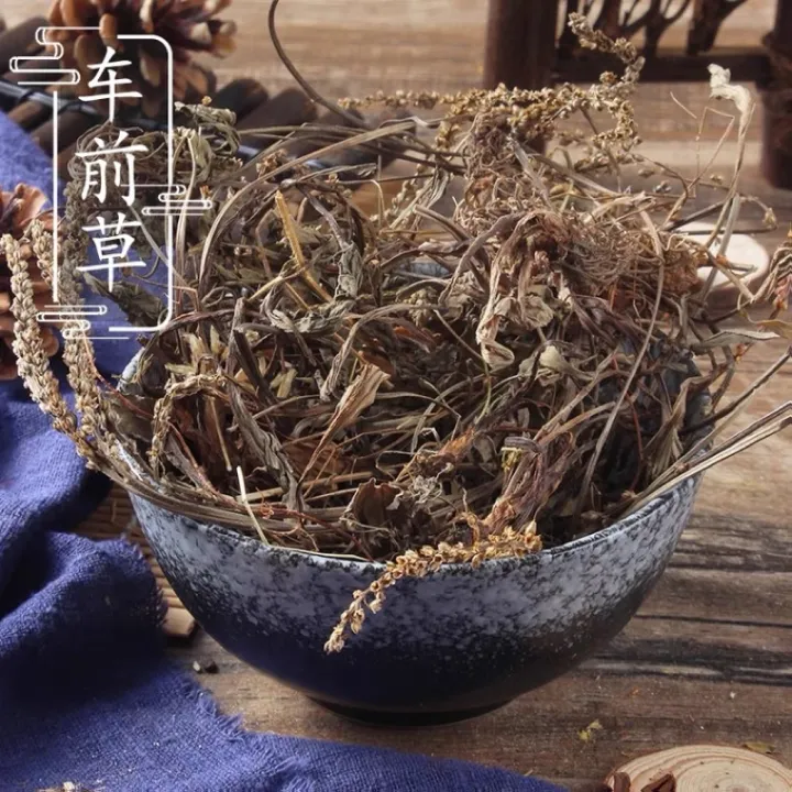 车前草 Herba Plantaginis 100g [ Ready Stock 现货 ] Lazada