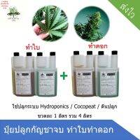 [ready stock]ชุดเซ็ต4ขวด AB กัญ 420 ทำใบ ทำดอก Hydro / cocoมีบริการเก็บเงินปลายทาง