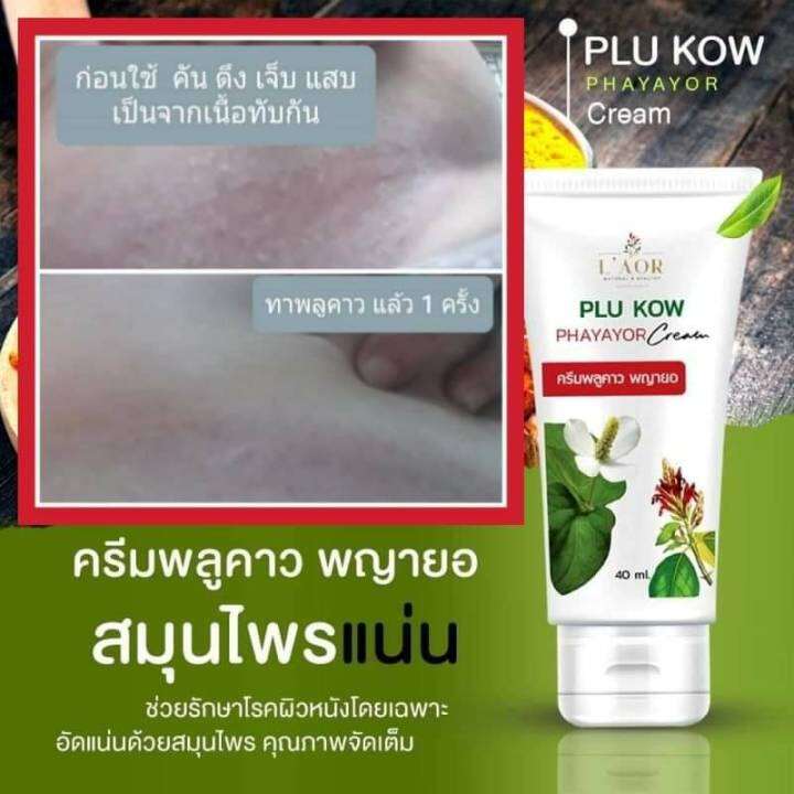 ครีมพลูคาว-พญายอ-ครีมพลูคาว-1หลอด-ขนาด40ml-ครีมสกัดจากสมุนไพร-บำรุงผิว-คัน-กาก-คันแพ้ต่าง-ครีมพลูคาวพญายอ-ครีมทาผิว-พลูคาว