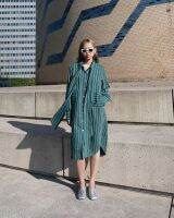 Joelle shirt dress