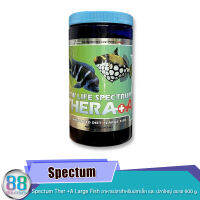 Spectum Ther +A Large Fish อาหารปลาสำหรับปลาเล็ก และ ปลาใหญ่ ขนาด 600 g.