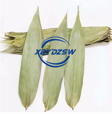 [XBYDZSW] 粽叶烘干大粽叶端午节包粽子粽叶1包Zongye drying big Zongye Dragon Boat Festival zongzi Zongye 1 pack