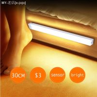 NEW Motion Sensor Night Light Wireless LED Strip Light USB Rechargeable Wardrobe Cabinet Lamp For Home Kitchen Bedroom 10/30CM