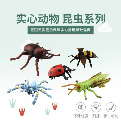 Export solid simulation insects flying insects animal model class hercules beetle bee pull type worm grasshopper childrens toys