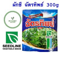 เมล็ดผักชี ฉัตรทิพย์ 300g SEEDLINE กอแน่น ใบใหญ่ กลิ่นหอม ความงอก90% ราคาส่ง